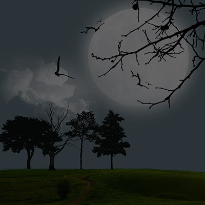 Bild Mond
